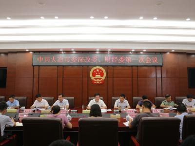 中共大冶市委深改委、财经委第一次会议召开
