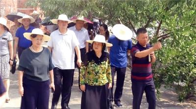省政协副主席王红玲来我市调研美丽乡村建设工作