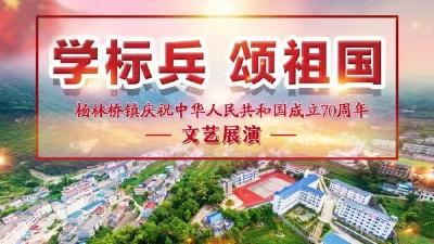 杨林桥镇学标兵 颂祖国文艺展演