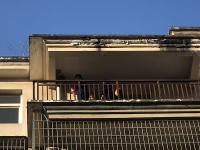 居民楼惊现马蜂窝 公安消防联合摘除