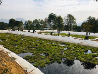 刘仁八：养殖场建“湿地公园”