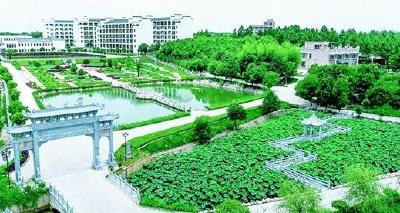 金牛镇处分宣布会场成为廉政教育课堂