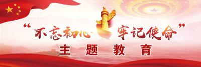 金牛镇召开主题教育成果交流会