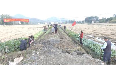 陈贵镇：兴水利，保民生