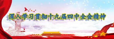 向阳社区开展四中全会精神巾帼宣讲活动