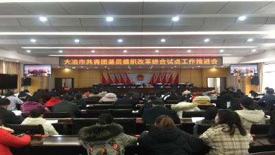 我市召开共青团基层组织改革试点工作推进会