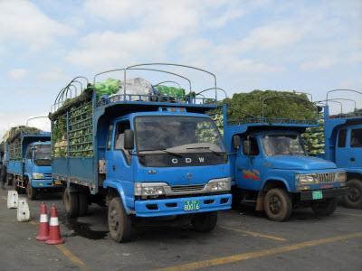 东台市三仓供销社向我市驰援优质蔬菜20多吨