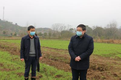 王刚深入陈贵镇检查督导疫情防控和苎麻种植工作