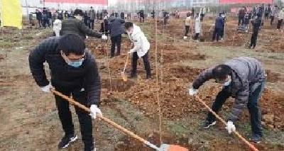 刘仁八镇 栽下防火树 迎接新气象