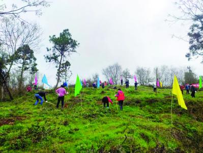 疫情防控不放松 植树造林不误时
