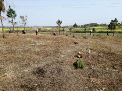 高新区 疫情防控不松劲植树造林添新颜