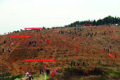 同心播绿地 众手绘蓝天 共创国森城