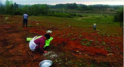 精准扶贫播撒春的希望