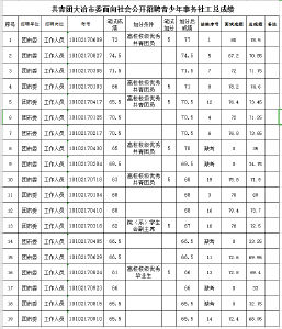 共青团大冶市委面向社会公开招聘青少年事务社工总成绩公告