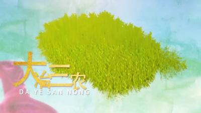 《大冶三农》小玫瑰（手机）.mp4