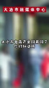 大冶市电商产业园正式开园