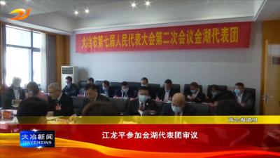 江龙平参加金湖代表团审议