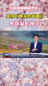 大冶再上央视，这次是因为保安沼山的桃花