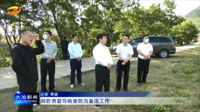 郝胜勇督导检查防汛备汛工作