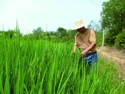 彭易权：18年坚守源于对家乡的热爱