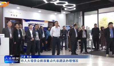 市人大常委会视察重点代表建议办理情况