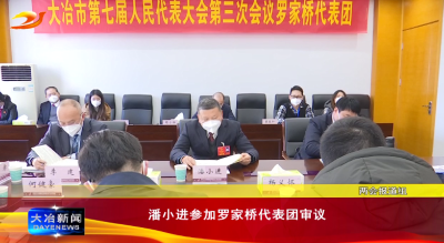 潘小进参加罗家桥代表团审议