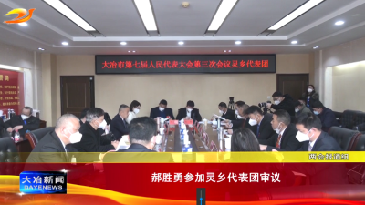 郝胜勇参加灵乡代表团审议

