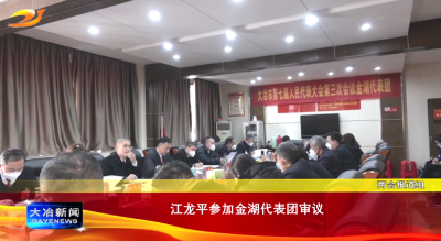江龙平参加金湖代表团审议