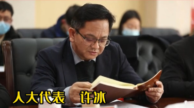 人大代表之声——三到五年形成铸造产业链