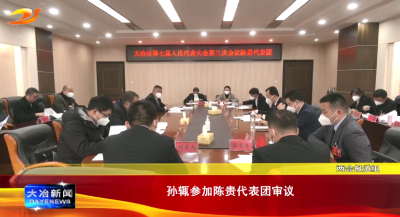 孙辄参加陈贵代表团审议
