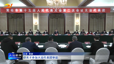 郄英才参加大冶代表团审议 