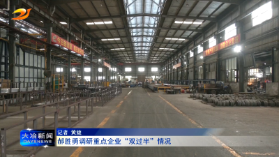 郝胜勇调研重点企业“双过半”情况