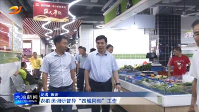 郝胜勇调研督导“四城同创”工作