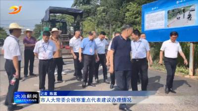 市人大常委会视察重点代表建议办理情况
