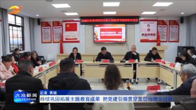 持续巩固拓展主题教育成果 把党建引领贯穿基层治理全过程