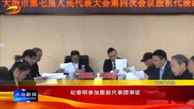 纪春明参加殷祖代表团审议