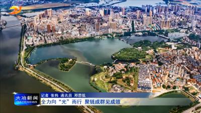 全力向“光”而行   聚链成群见成效