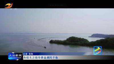 央视关注我市黄金湖风干鱼