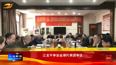 江龙平参加金湖代表团审议