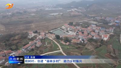 桃树村：创建“森林乡村” 助力乡村振兴