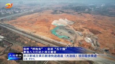 武汉新城至黄石新港快速通道（大冶段）项目稳步推进