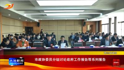 市政协委员分组讨论政府工作报告等系列报告