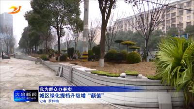 城区绿化提档升级增“颜值”
