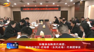 孙辄参加陈贵代表团、临空经济区还地桥（东风农场）代表团审议