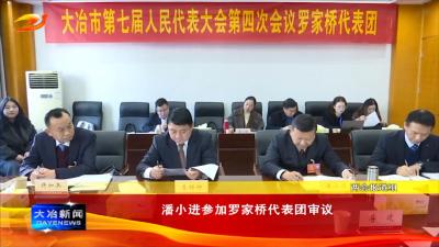 潘小进参加罗家桥代表团审议