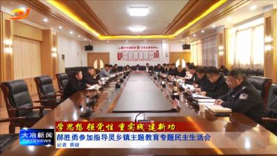 郝胜勇参加指导灵乡镇主题教育专题民主生活会