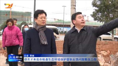 郄英才来我市检查生态环境保护督察反馈问题整改工作