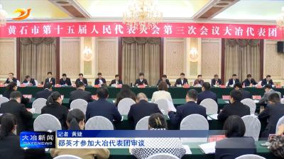 郄英才参加大冶代表团审议