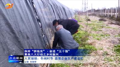 大箕铺镇：冬闲时节 蔬菜企业生产建设忙