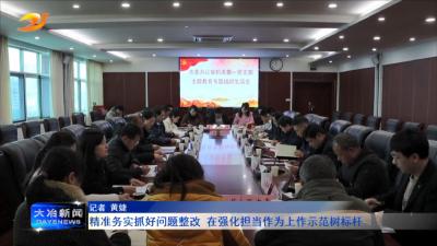 精准务实抓好问题整改 在强化担当作为上作示范树标杆